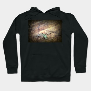 Dragonfly Leap of Faith Hoodie